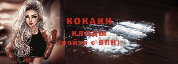 2c-b Богородицк