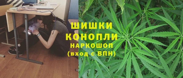 2c-b Богородицк