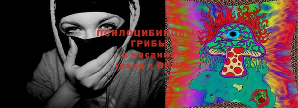шишки Гусь-Хрустальный